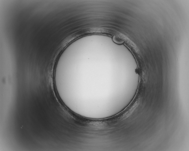 X0000101461033200807211329