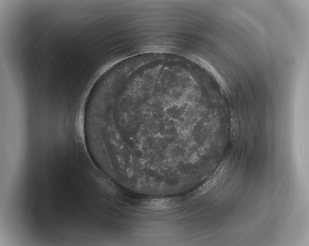 X0000101461035200807211329