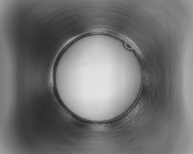 X0000101461036200807211329