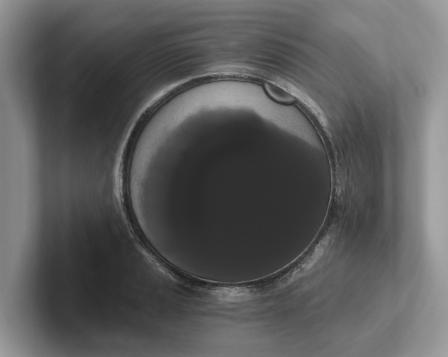 X0000101461037200807211329