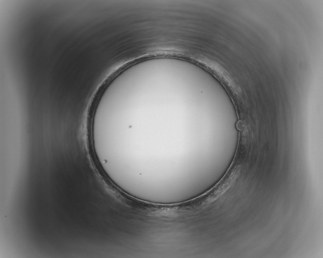 X0000101461038200807211329