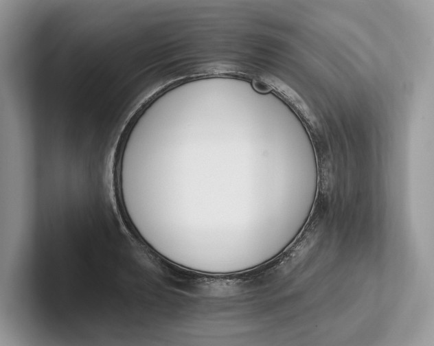 X0000101461039200807211329