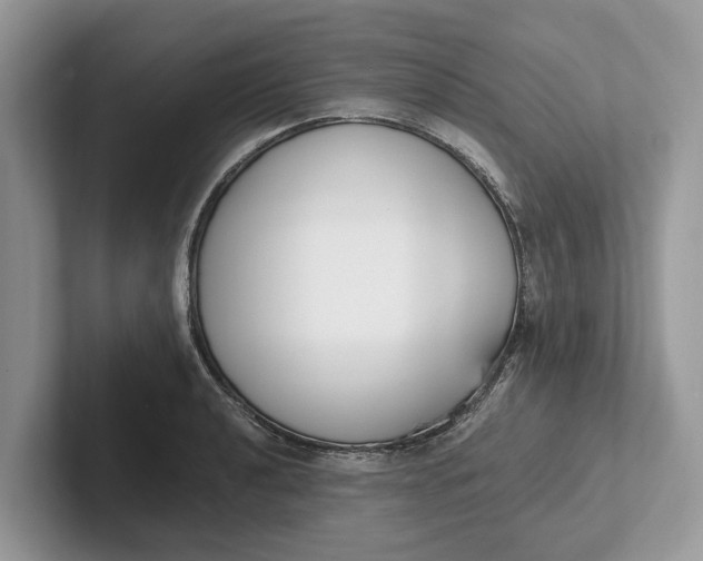 X0000101461040200807211329