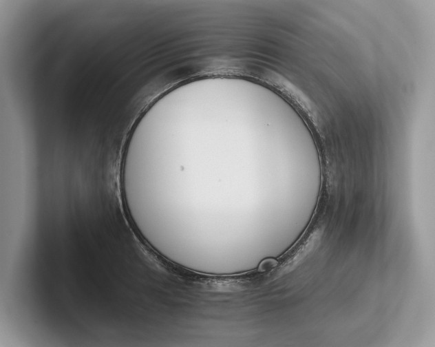 X0000101461041200807211329