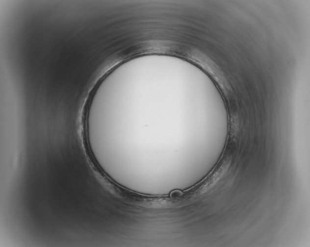 X0000101461042200807211329