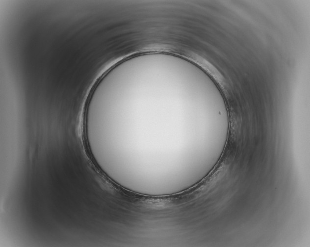 X0000101461044200807211329