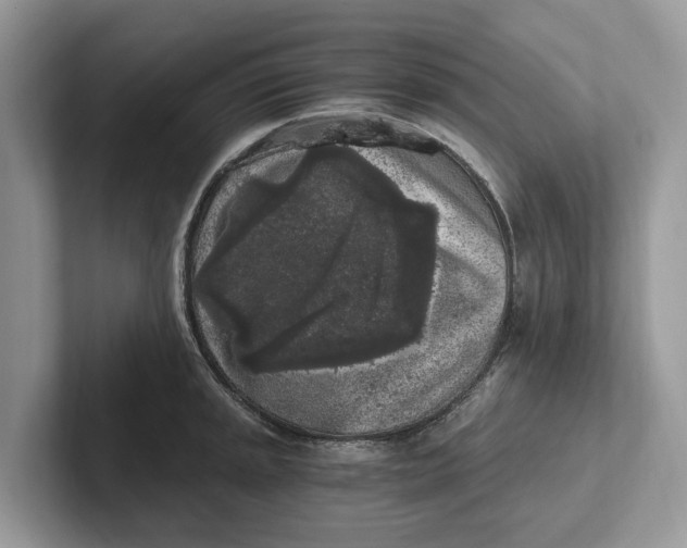 X0000101461045200807211329