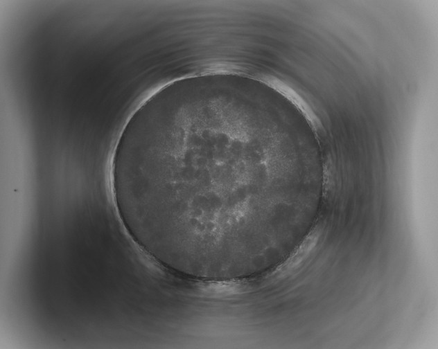 X0000101461047200807211329