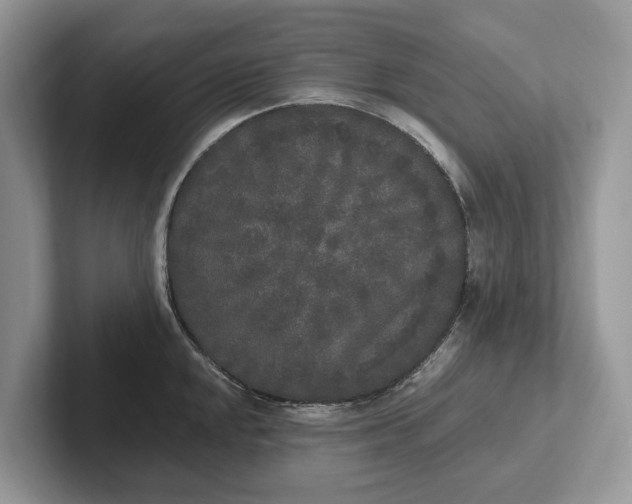 X0000101461048200807211329