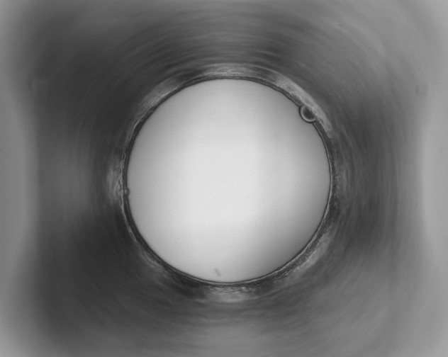 X0000101461049200807211329