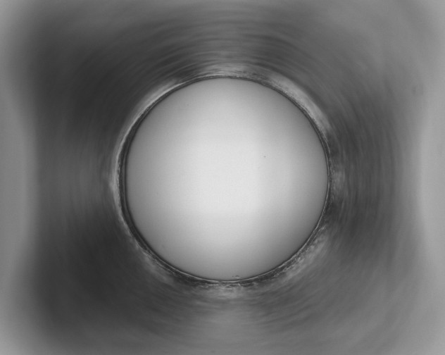 X0000101461050200807211329