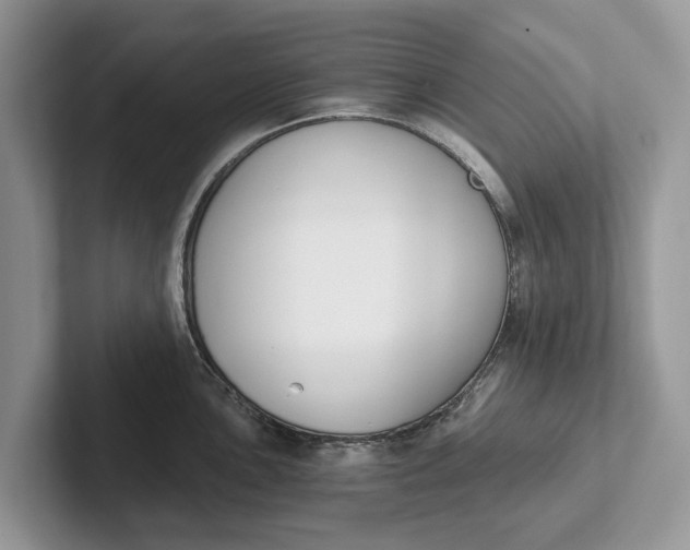 X0000101461051200807211329