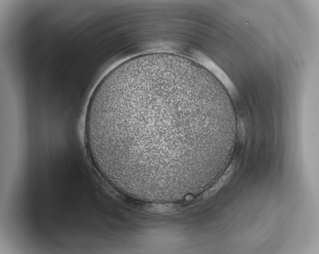 X0000101461052200807211329
