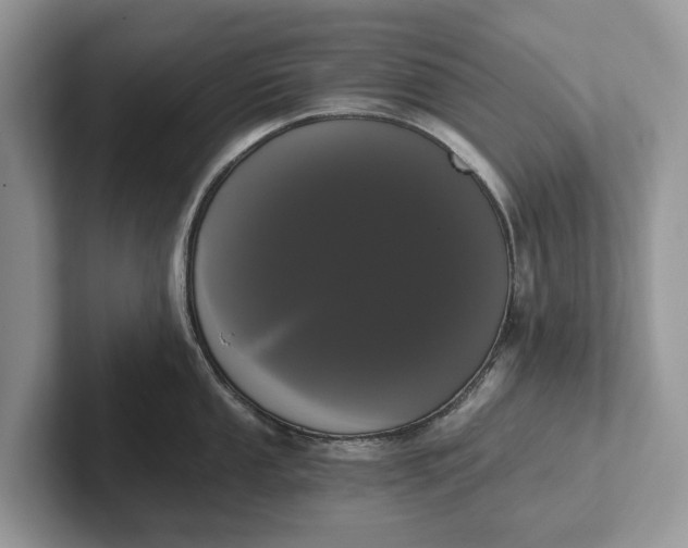 X0000101461053200807211329