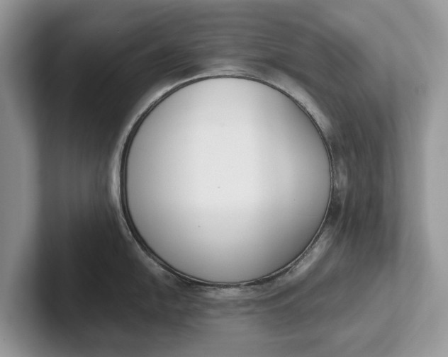 X0000101461054200807211329