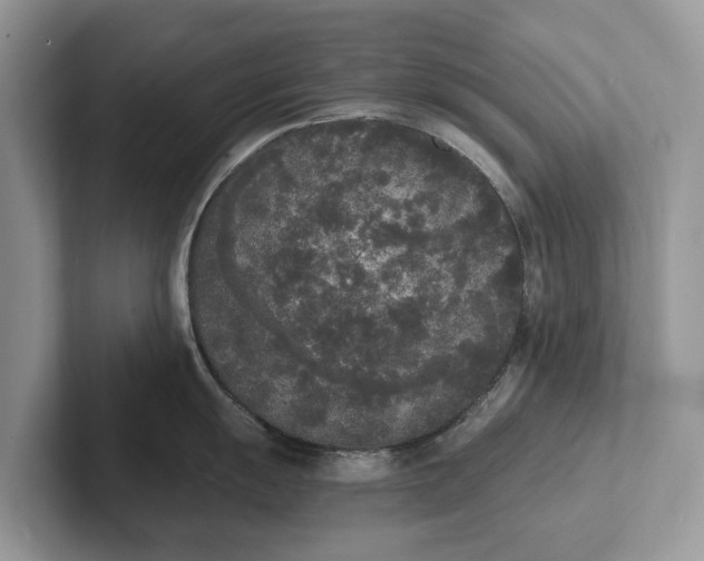 X0000101461055200807211329