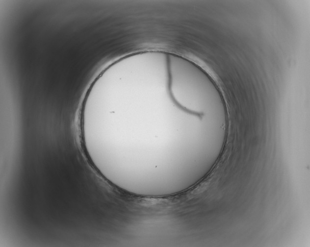 X0000101461056200807211329