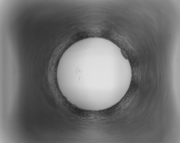 X0000101461057200807211329