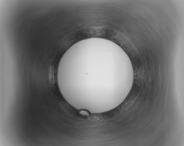 X0000101461058200807211329