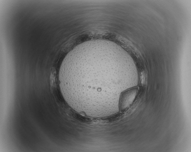 X0000101461059200807211329