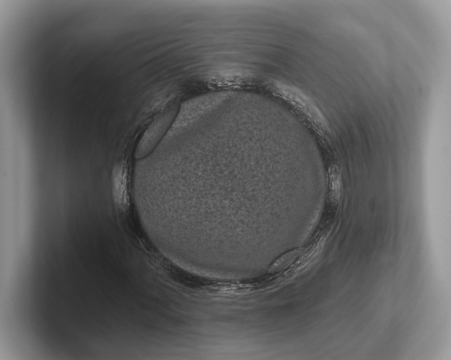 X0000101461060200807211329