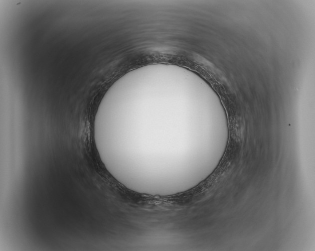 X0000101461061200807211329