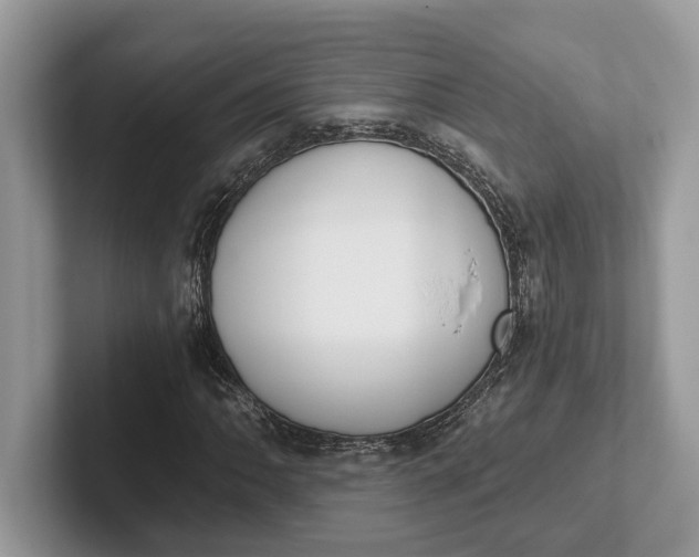 X0000101461062200807211329