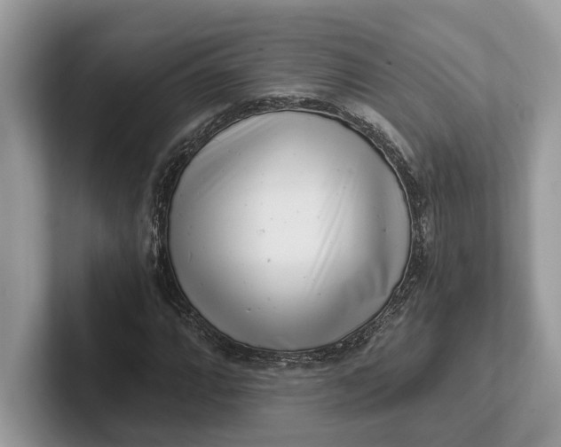X0000101461064200807211329