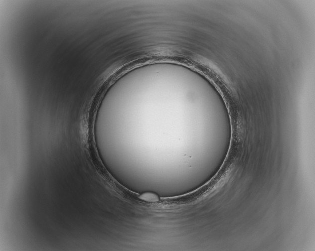 X0000101461065200807211328