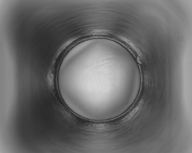 X0000101461066200807211328