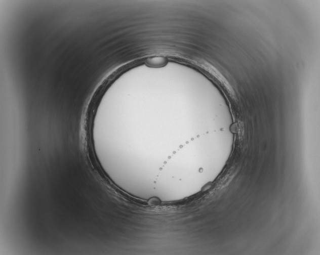 X0000101461068200807211328
