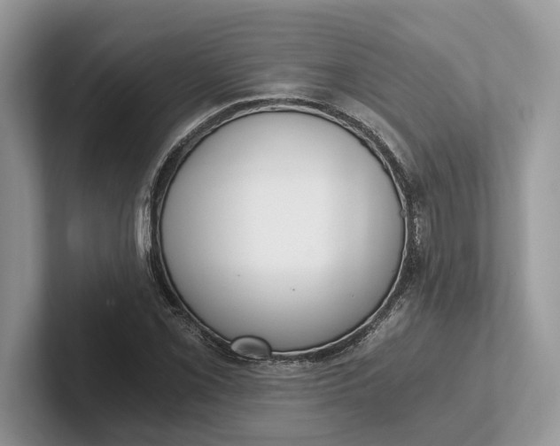X0000101461069200807211328