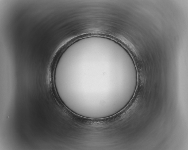 X0000101461070200807211328