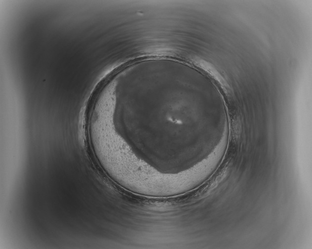 X0000101461071200807211328