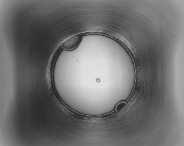 X0000101461072200807211328