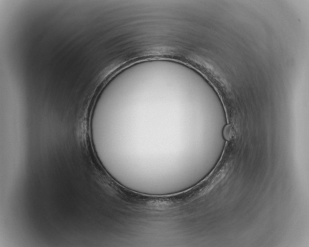 X0000101461073200807211328