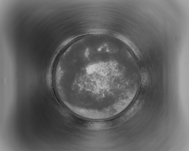 X0000101461074200807211328