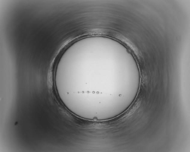 X0000101461075200807211328
