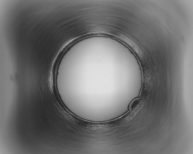 X0000101461076200807211328