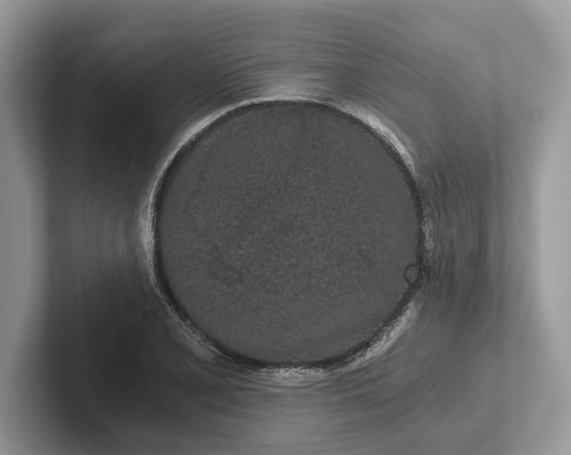 X0000101461077200807211328