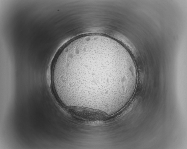 X0000101461079200807211328