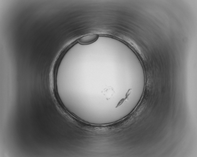 X0000101461080200807211328