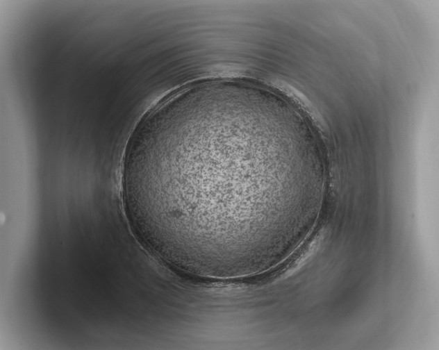 X0000101461081200807211328
