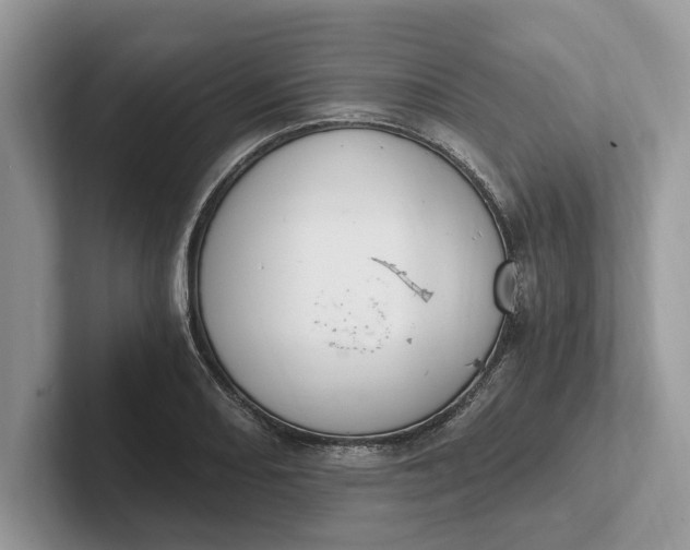 X0000101461082200807211328