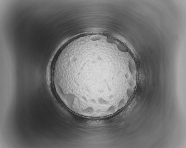 X0000101461083200807211328