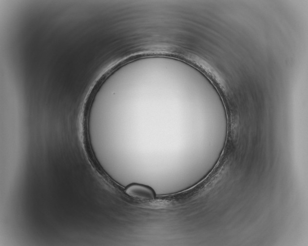 X0000101461085200807211328