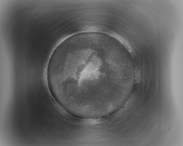 X0000101461086200807211328