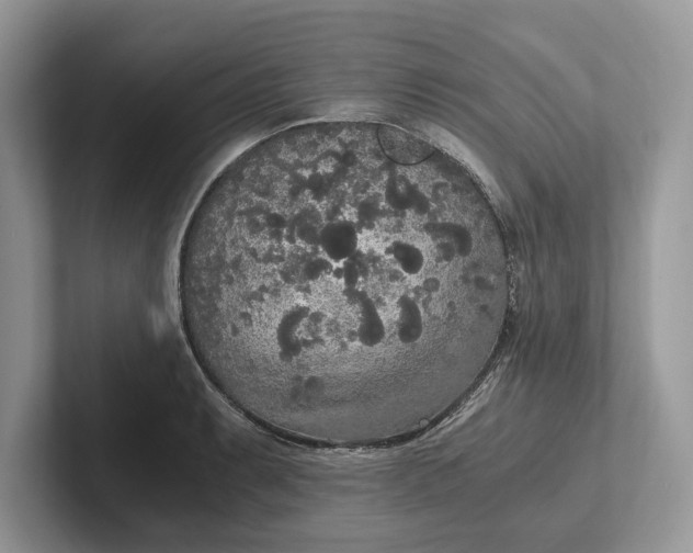 X0000101461087200807211328