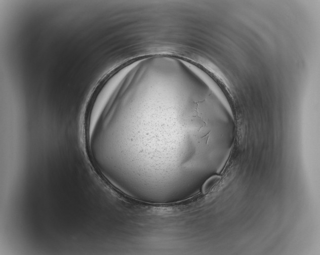 X0000101461088200807211328