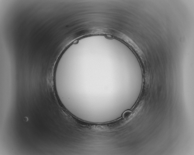 X0000101461089200807211328